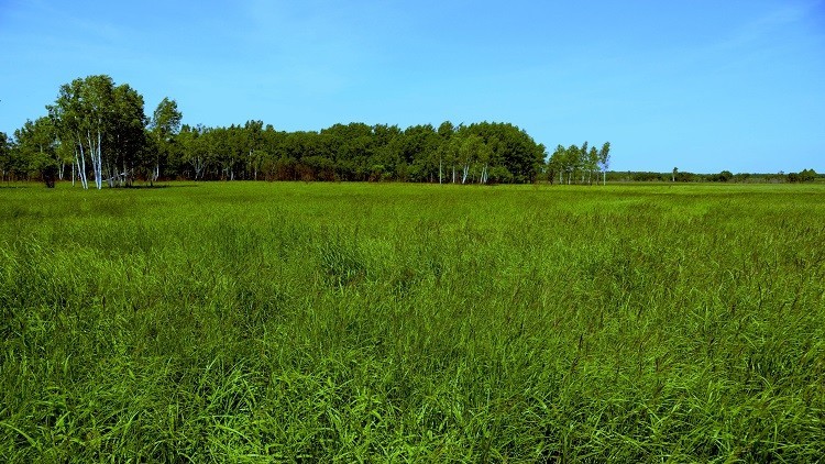 blog image